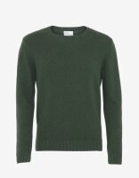 Strickpullover Classic Merino Wool Crew