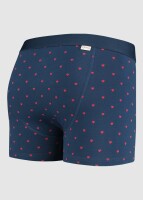 Unterhose Boxer Brief Valentijn L